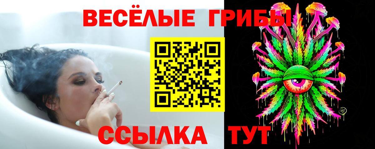 Галлюциногенные грибы мицелий  хочу   Владимир  Вход с VPN 